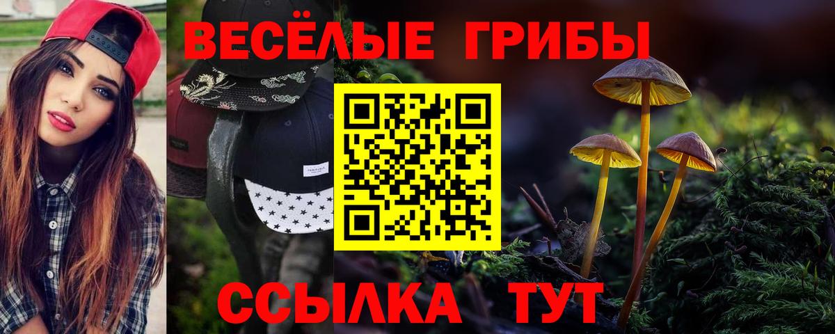 Псилоцибиновые грибы Psilocybine cubensis  Вход с VPN  Анжеро-Судженск  Галлюциногенные грибы Cubensis 